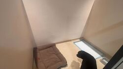 Suntec City Mall (D1), Retail #602772911